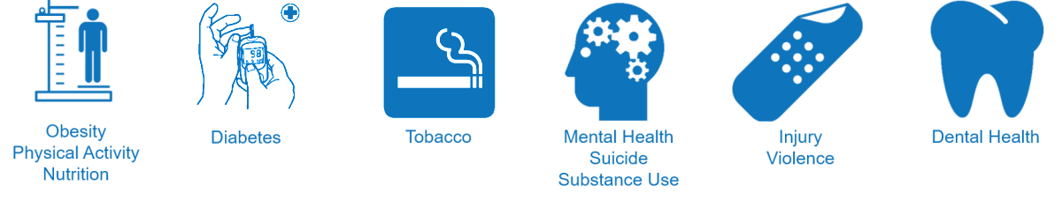 Obesity, Physical Activity, Nutrition; Diabetes; Tobacco; Mental Health, Suicide, Substance Use; Injury, Violence; Dental Health